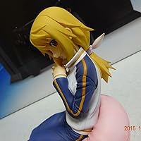 Amazon | IS インフィニット・ストラトス シャルロット